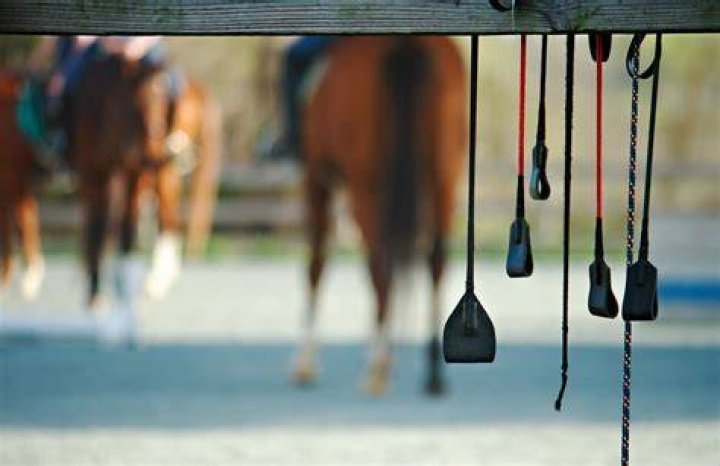 Does a riding crop hurt?