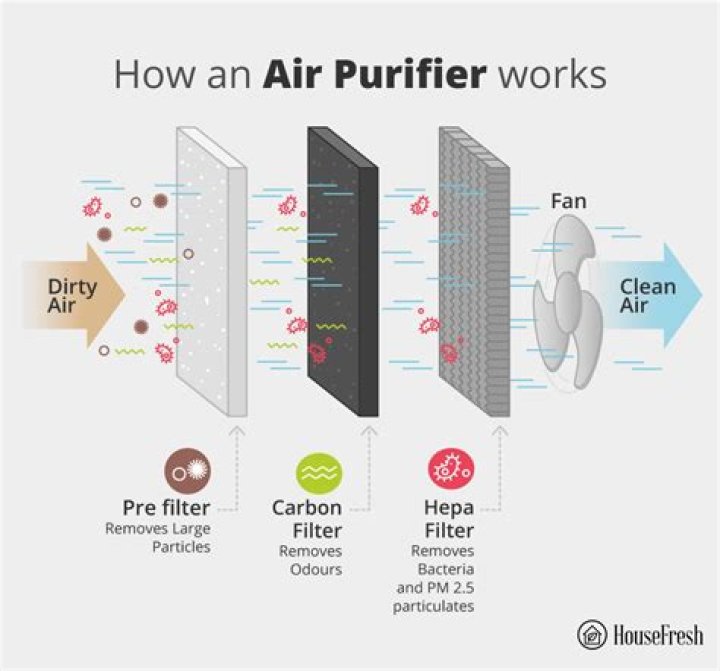 Does an air purifier really work?