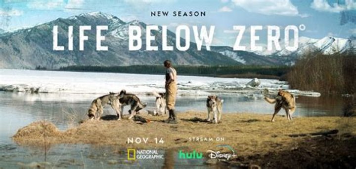 Does Andy come back to Life Below Zero?