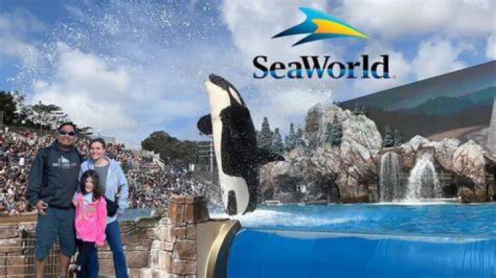 Does anyone still go to SeaWorld?