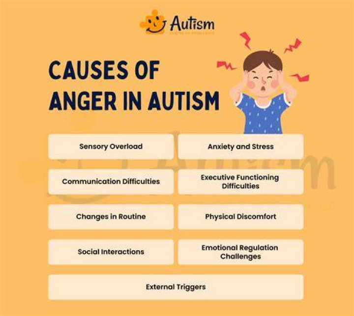 Does autism cause anger?