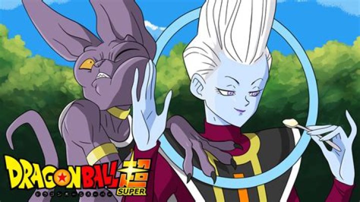 Does Beerus care about Whis?