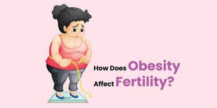 Does body fat affect fertility?