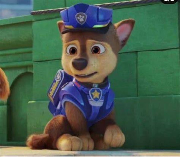 Does Chase have PTSD PAW Patrol?