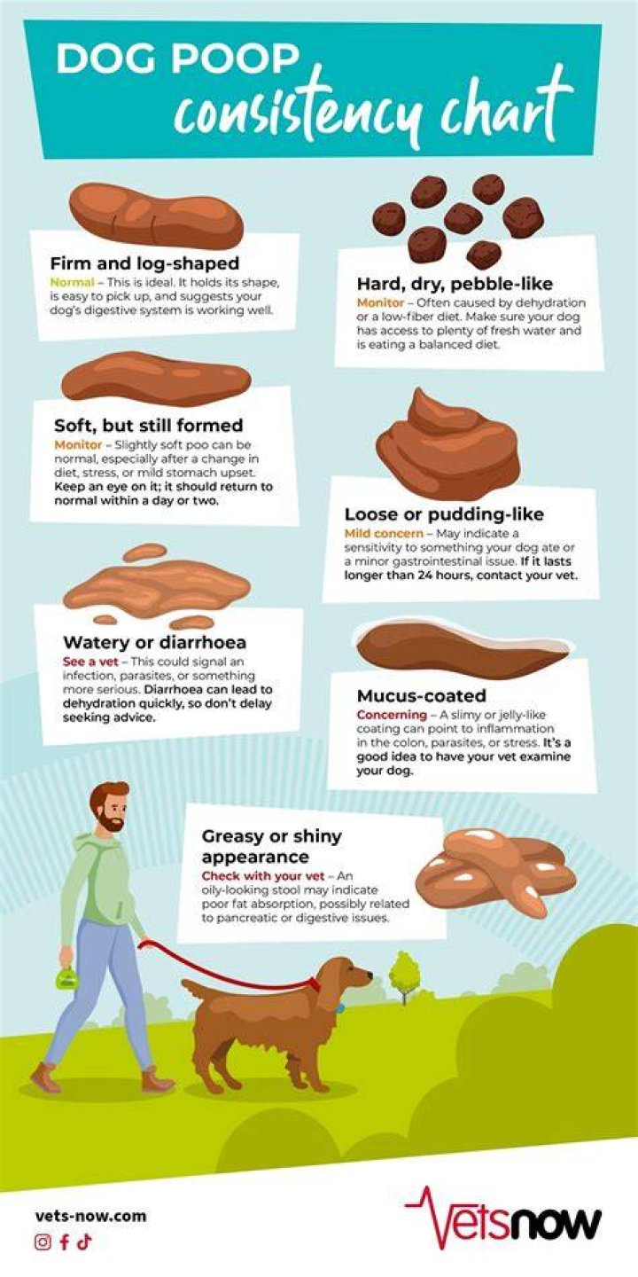 Does Coco mean poop?