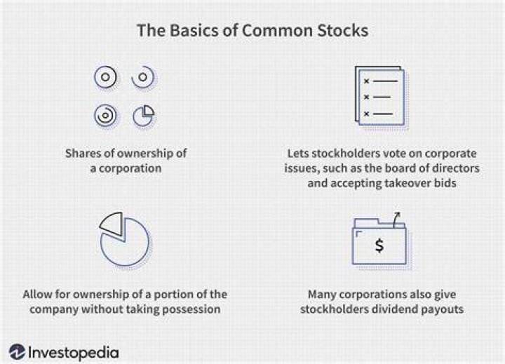 Does common stock give ownership?