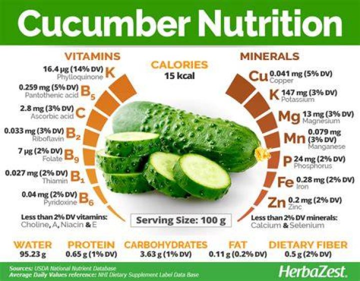 Does cucumber have protein?