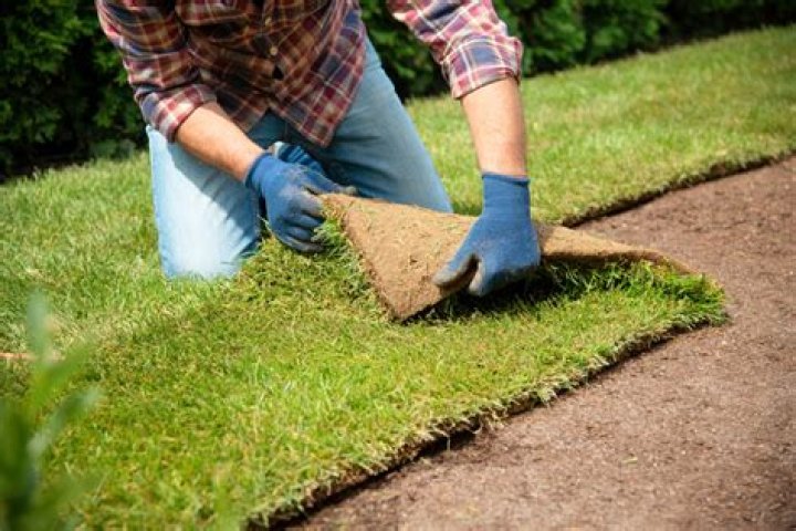 Does cutting grass help it spread?