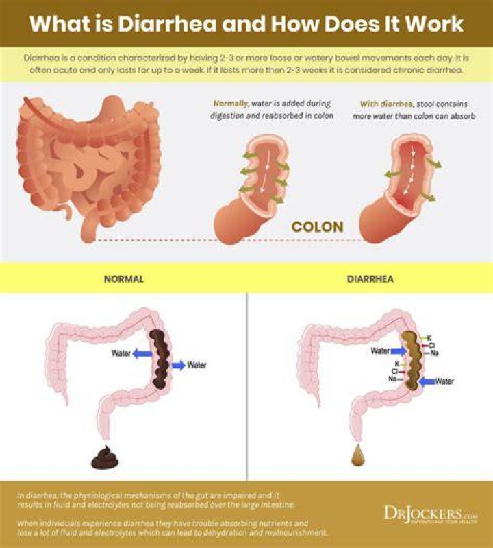 Does diarrhea empty your stomach?