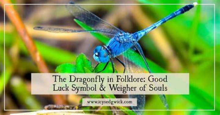 Does dragonfly bring good luck?