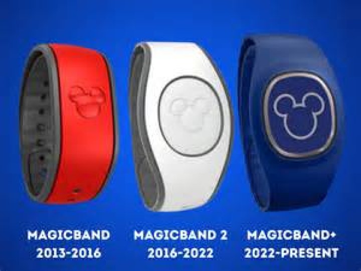 Does everyone in your party need a MagicBand?