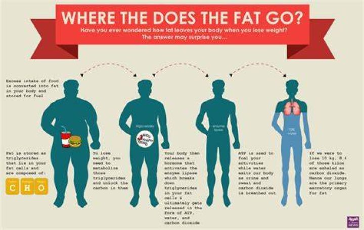 Does fat come off your face first?