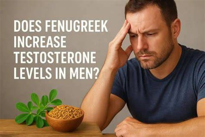 Does fenugreek increase testosterone levels?