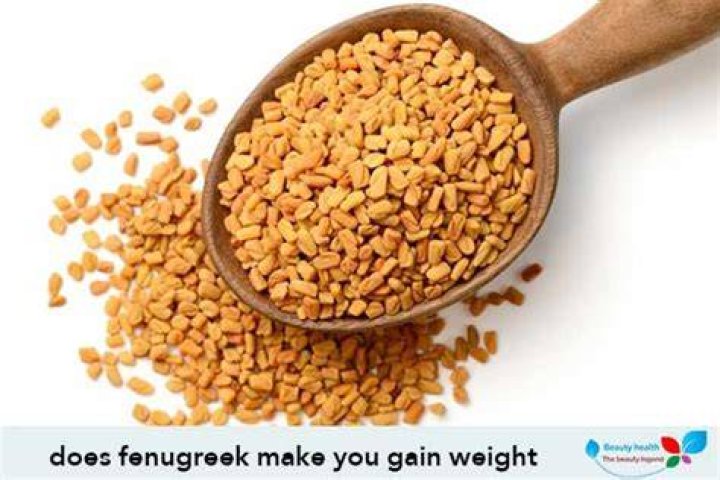Does fenugreek make you gain weight?