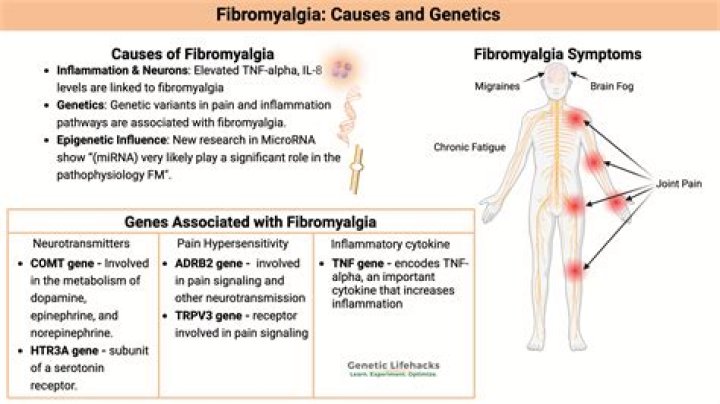 Does fibromyalgia affect bowel movements?