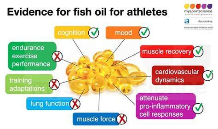 Does fish oil give u energy?