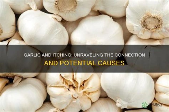 Does garlic stop horses itching?
