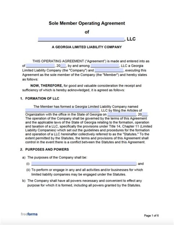 Does Georgia require an operating agreement for an LLC?