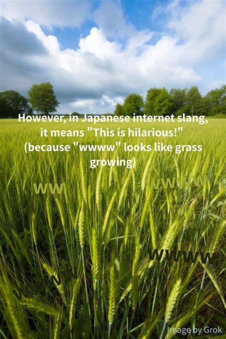Does grass mean lol in Japanese?