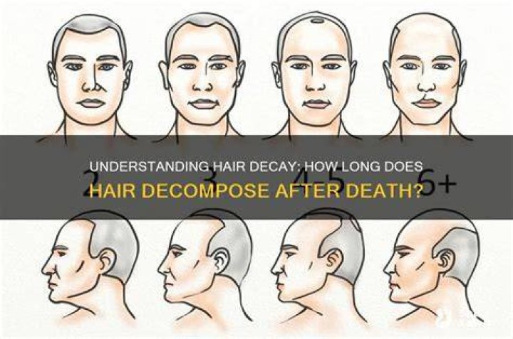 Does hair decompose after death?