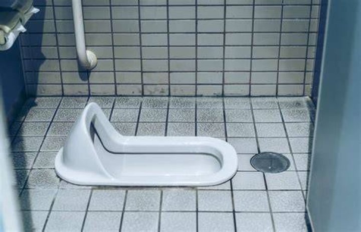 Does Japan have squat toilets?