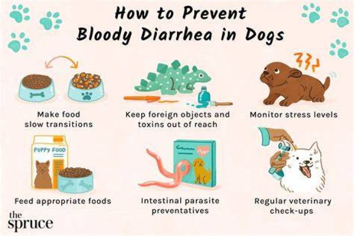 Does kibbles and bits give dogs diarrhea?