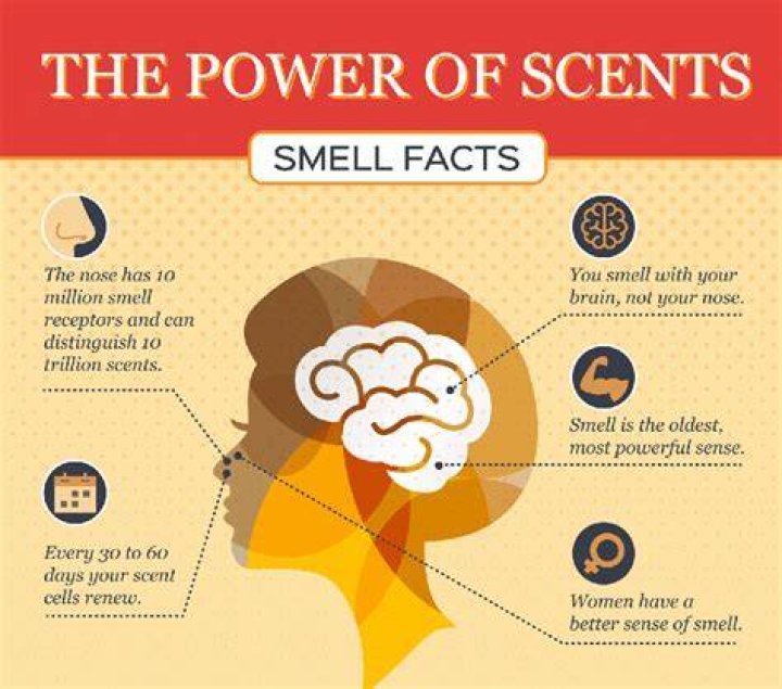 Does light have smell?