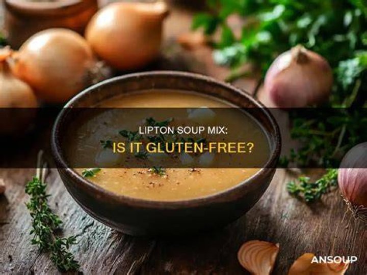 Does Lipton onion soup contain gluten?