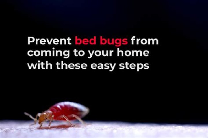 Does making your bed trap bacteria?