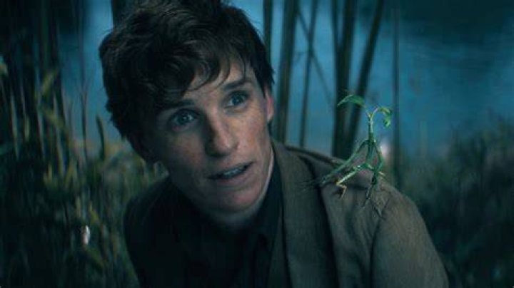 Does Newt get his Bowtruckle back?