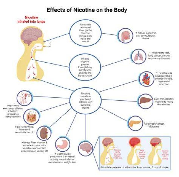 Does nicotine mess with female hormones?