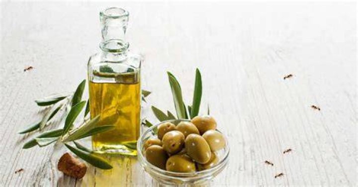 Does olive oil repel dust?