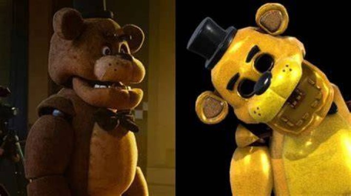 Does Paula and Freddy have contract?