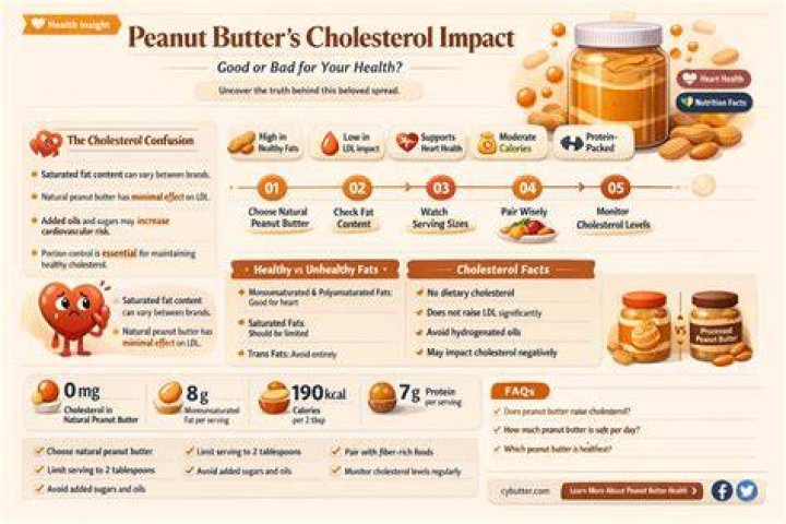 Does peanut butter increase cholesterol?