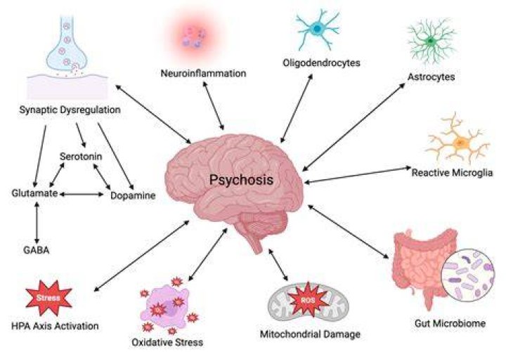 Does psychosis permanently damage the brain?