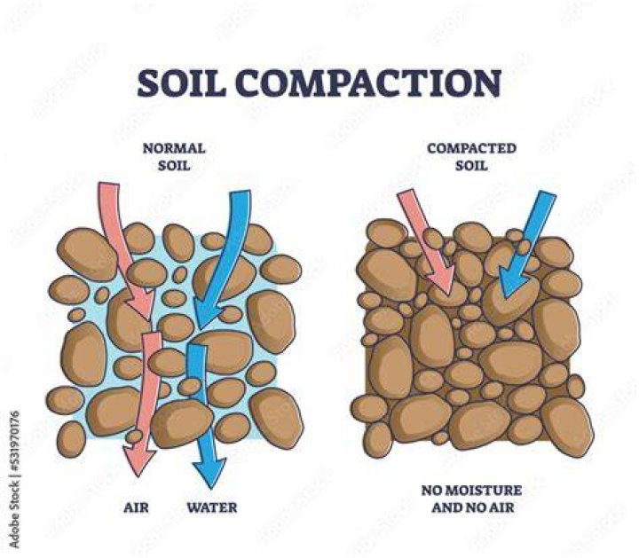 Does rain help compact soil?