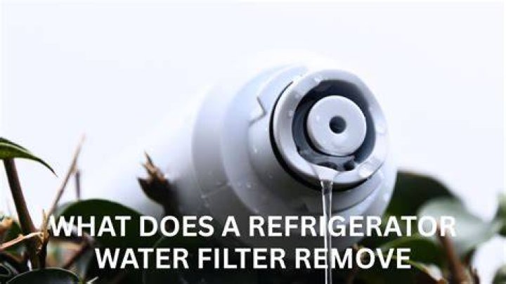 Does refrigerator filter remove PFOA?