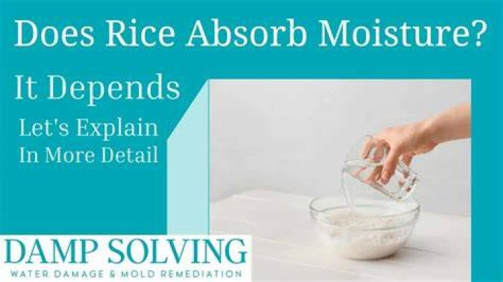 Does rice absorb moisture?