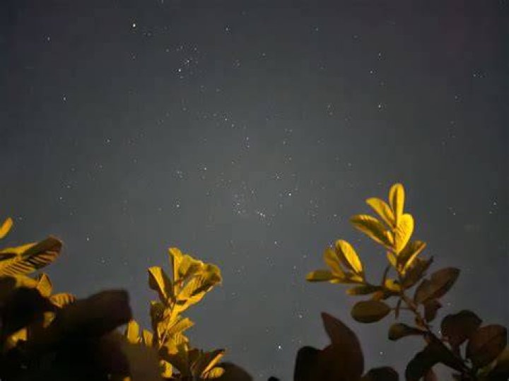 Does Samsung A21s have Night mode?