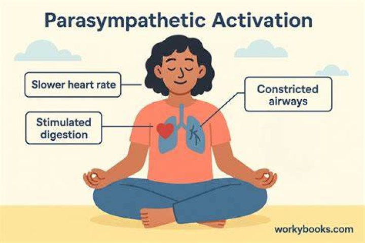 Does singing activate parasympathetic?