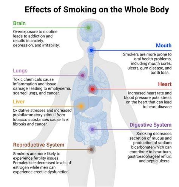 Does smoking affect female hormones?
