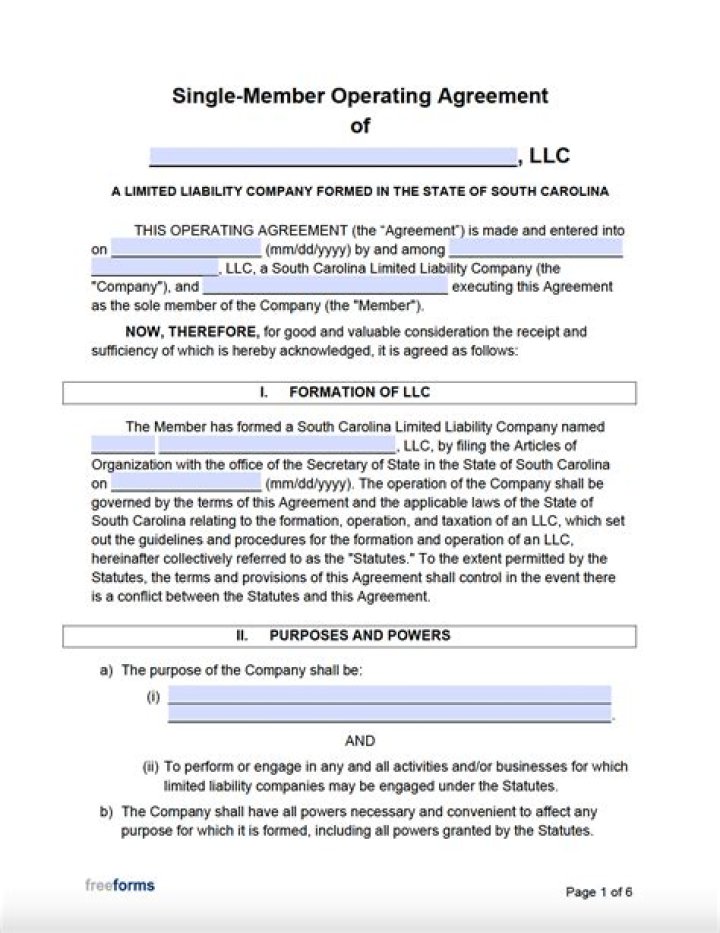 Does South Carolina recognize single-member LLC?