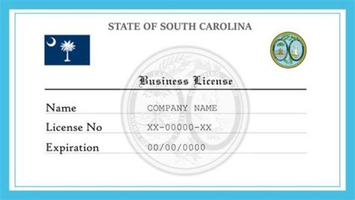 Does South Carolina require a business license?