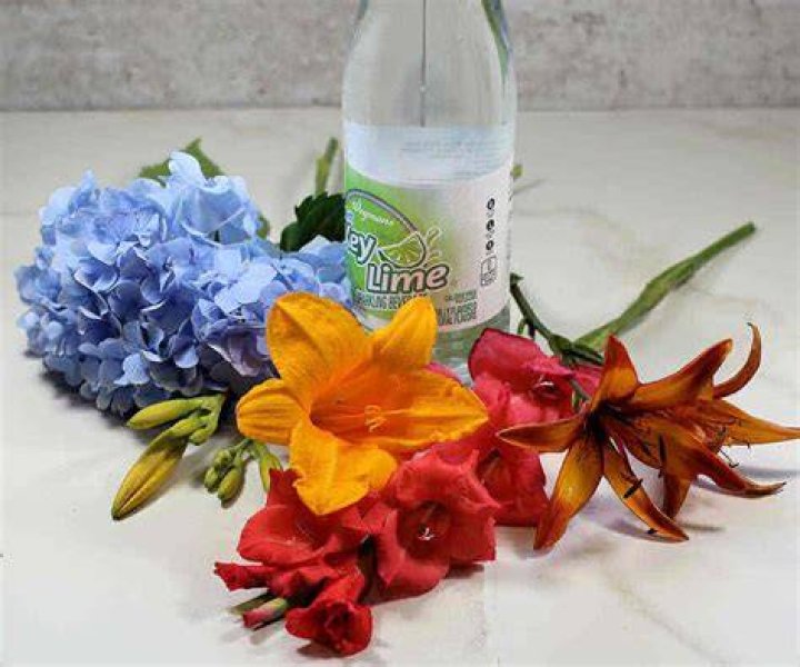 Does Sprite make flowers last longer?