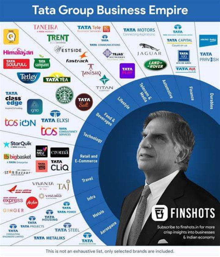 Does Tata own an airline?