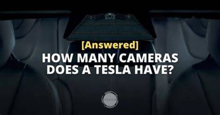 Does Tesla have security?
