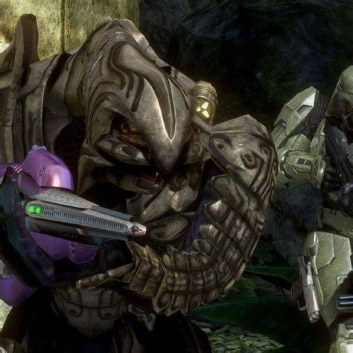 Does the Arbiter know chief is alive?