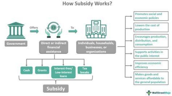Does the US government provide subsidies?