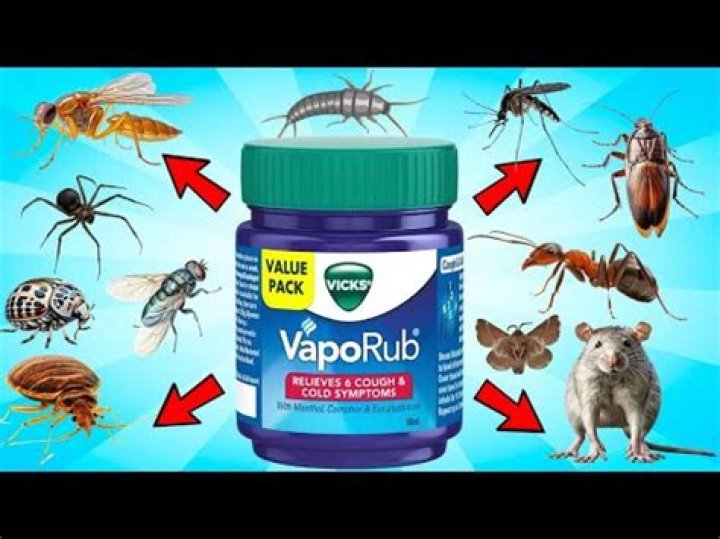 Does Vicks Vapor Rub repel mosquitoes?