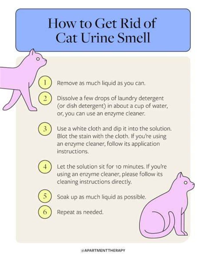Does vinegar and baking soda get rid of cat urine?